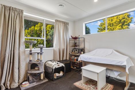 Photo of property in 51 Blue Cliffs Road, Saint Andrews, 7988