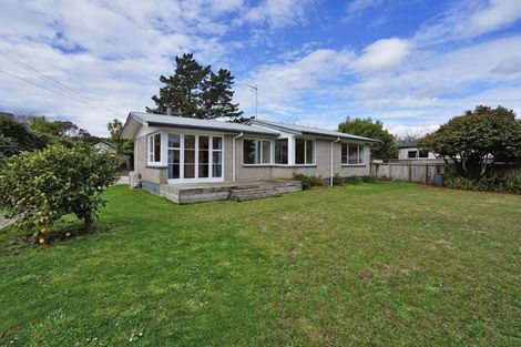 Photo of property in 88 Lewis Street, Glenview, Hamilton, 3206