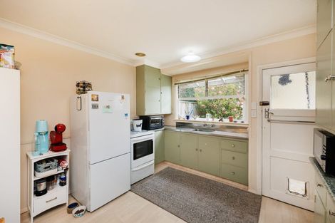 Photo of property in 114 Manawatu Street, Hokowhitu, Palmerston North, 4410