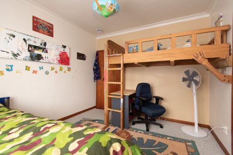 Photo of property in 34 Haydon Street, Roslyn, Palmerston North, 4414