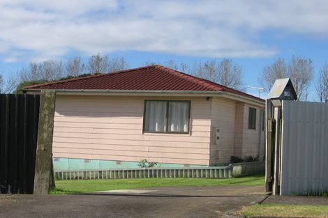 Photo of property in 17 Kingfisher Place, Favona, Auckland, 2024