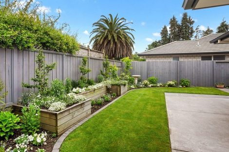 Photo of property in 21 Saltwood Lane, Bethlehem, Tauranga, 3110
