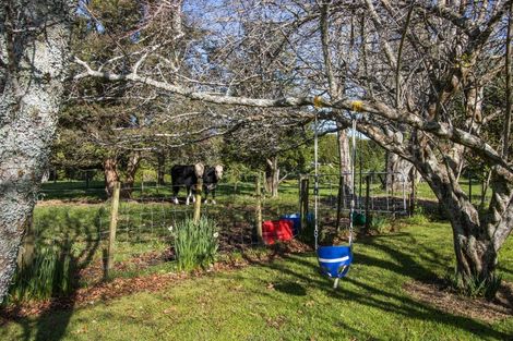 Photo of property in 231 Rea Road, Tahawai, Katikati, 3178