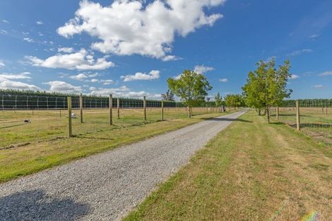 Photo of property in 1217 Hoskyns Road, Kirwee, Christchurch, 7671