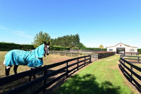 Photo of property in 742 Henry Road, Taupiri, 3791