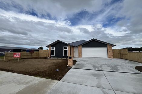 Photo of property in 25 Buxton Crescent, Matamata, 3400