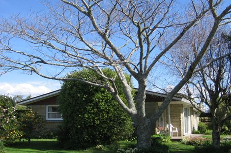 Photo of property in 1 Maxine Place, Matua, Tauranga, 3110