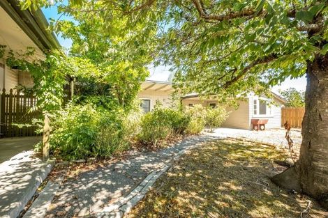 Photo of property in 57 Leslie Street, Waiau, 7332
