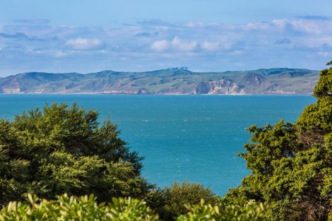 Photo of property in 39 Whaanga Road, Raglan, 3297