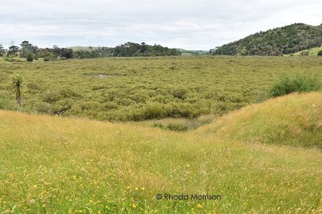Photo of property in State Highway 12, Paparoa, Maungaturoto, 0583