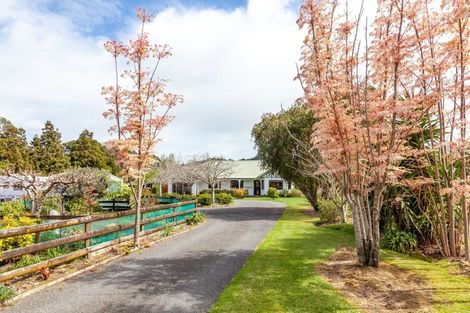 Photo of property in 53 Whangapoua Sh25 Road, Coromandel, 3506