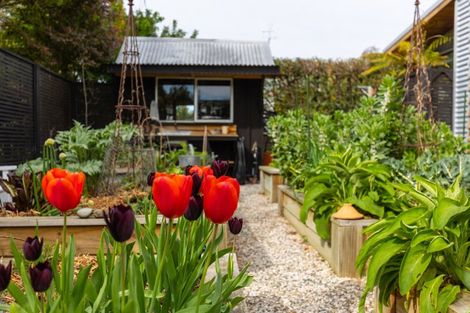 Photo of property in 4 Muirbank Crescent, Witherlea, Blenheim, 7201