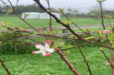 Photo of property in 18 Falls Road, Hunua, Papakura, 2583