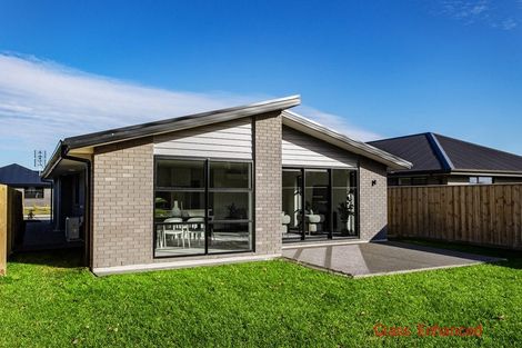 Photo of property in 43 Henshaw Street, Woodend, 7610