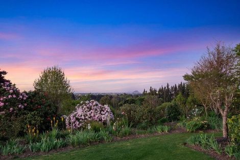 Photo of property in 497e Joyce Road, Pyes Pa, Tauranga, 3173