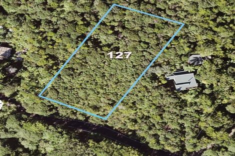 Photo of property in 127 Lone Kauri Road, Karekare, Auckland, 0772