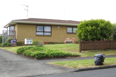 Photo of property in 16b Cooper Street, Pukekohe, 2120