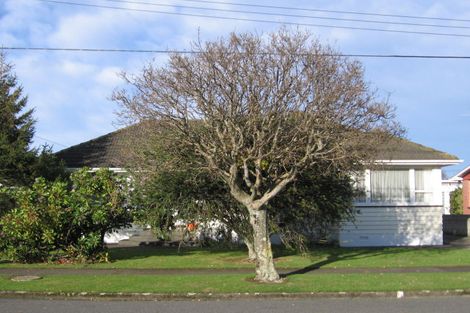Photo of property in 11 Stamford Grove, Avalon, Lower Hutt, 5011