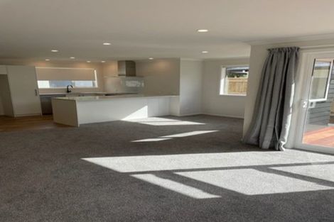 Photo of property in 117 Limbrick Street, Terrace End, Palmerston North, 4410
