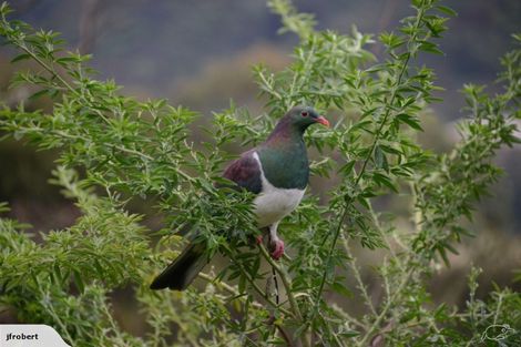 Photo of property in 105 Marahau Valley Road, Marahau, Motueka, 7197