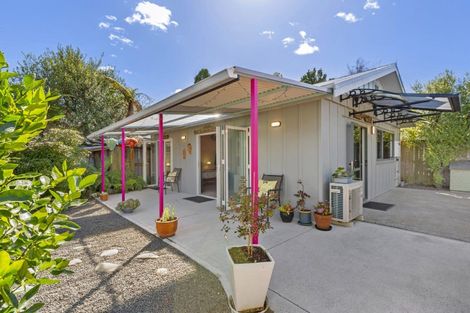 Photo of property in 245 Clarkin Road, Fairfield, Hamilton, 3214