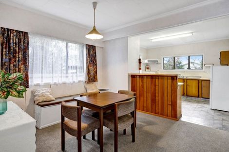 Photo of property in 11 Denmark Terrace, Midhirst, Stratford, 4394