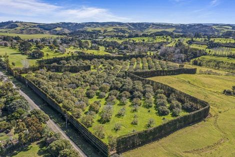 Photo of property in 105 Mairetahi Road, South Head, Helensville, 0874