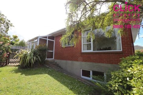Photo of property in 59 Mailer Street, Mornington, Dunedin, 9011