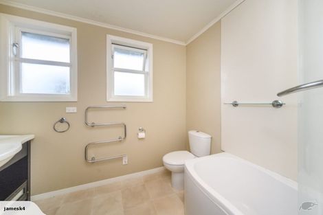 Photo of property in 115 Limbrick Street, Terrace End, Palmerston North, 4410