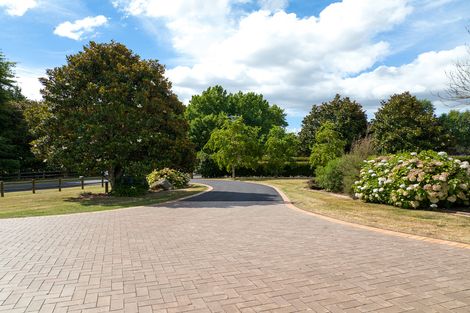 Photo of property in 123 Saint Leger Road, Te Awamutu, 3875