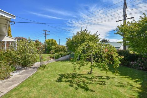 Photo of property in 117 Elgin Road, Kenmure, Dunedin, 9011