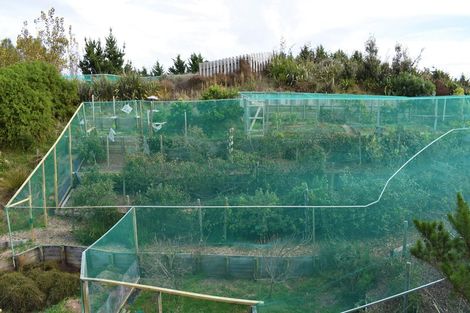 Photo of property in 159 Emma Drive, Manakau, Levin, 5573