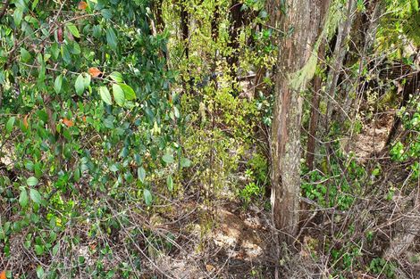 Photo of property in 2b Lyon Street, Opua, 0200