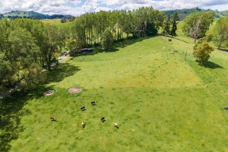 Photo of property in 33 Link Road, Wairakei, Taupo, 3384