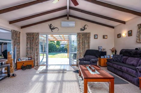 Photo of property in 133 Cockburn Street, Kuripuni, Masterton, 5810