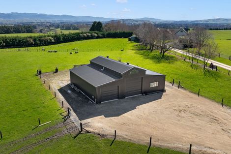 Photo of property in 311 Gordon Street, Lansdowne, Masterton, 5810