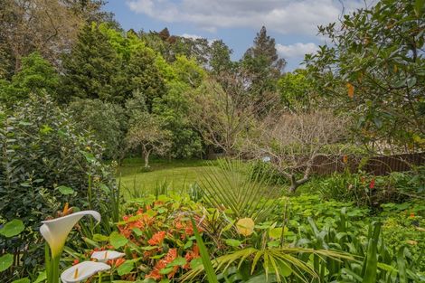 Photo of property in 142 Brunton Crescent, Thames, 3500