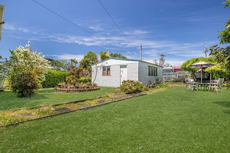 Photo of property in 131 Seabrook Avenue, New Lynn, Auckland, 0600