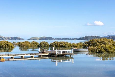 Photo of property in 1613 Manaia Road, Manaia, Coromandel, 3581