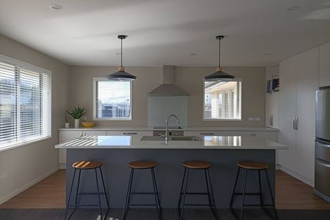 Photo of property in 79 Te Ngawai Road, Pleasant Point, 7903