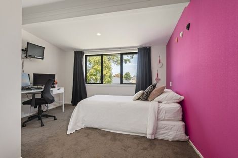 Photo of property in 187 The Terrace, Ashhurst, 4810