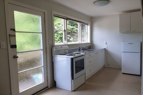 Photo of property in 45 Adams Terrace, Aro Valley, Wellington, 6021