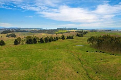 Photo of property in 473 Otake Road, Marotiri, Taupo, 3377