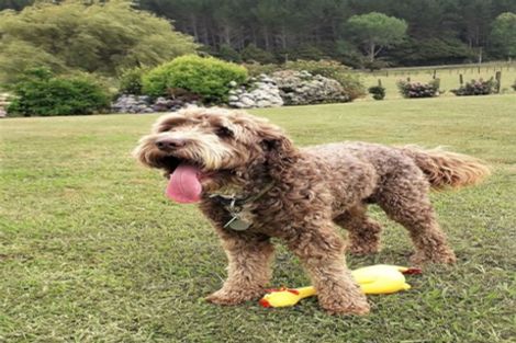 Photo of property in 869 Woodcocks Road, Kaipara Flats, Warkworth, 0981