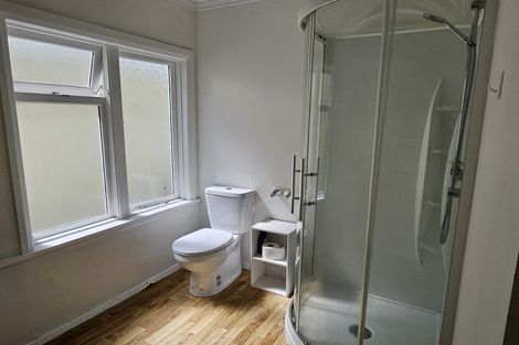 Photo of property in 86 Rolleston Street, Mount Cook, Wellington, 6021