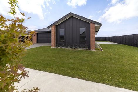 Photo of property in 18 Bond Street, Springlands, Blenheim, 7201