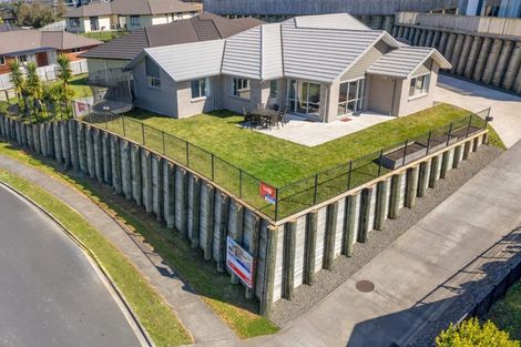 Photo of property in 29 Sylvester Crescent, Flagstaff, Hamilton, 3210