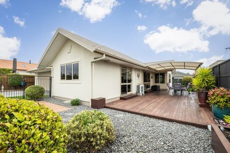 Photo of property in 43 Palmbrook Avenue, Havelock North, 4130