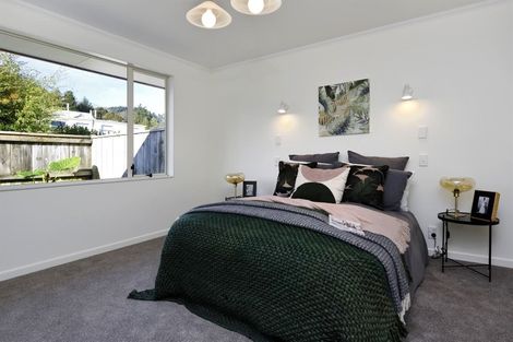 Photo of property in 90b Halifax Street East, The Wood, Nelson, 7010