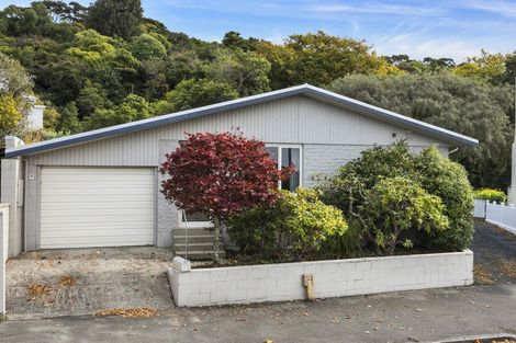 Photo of property in 52c Royal Terrace, Dunedin Central, Dunedin, 9016